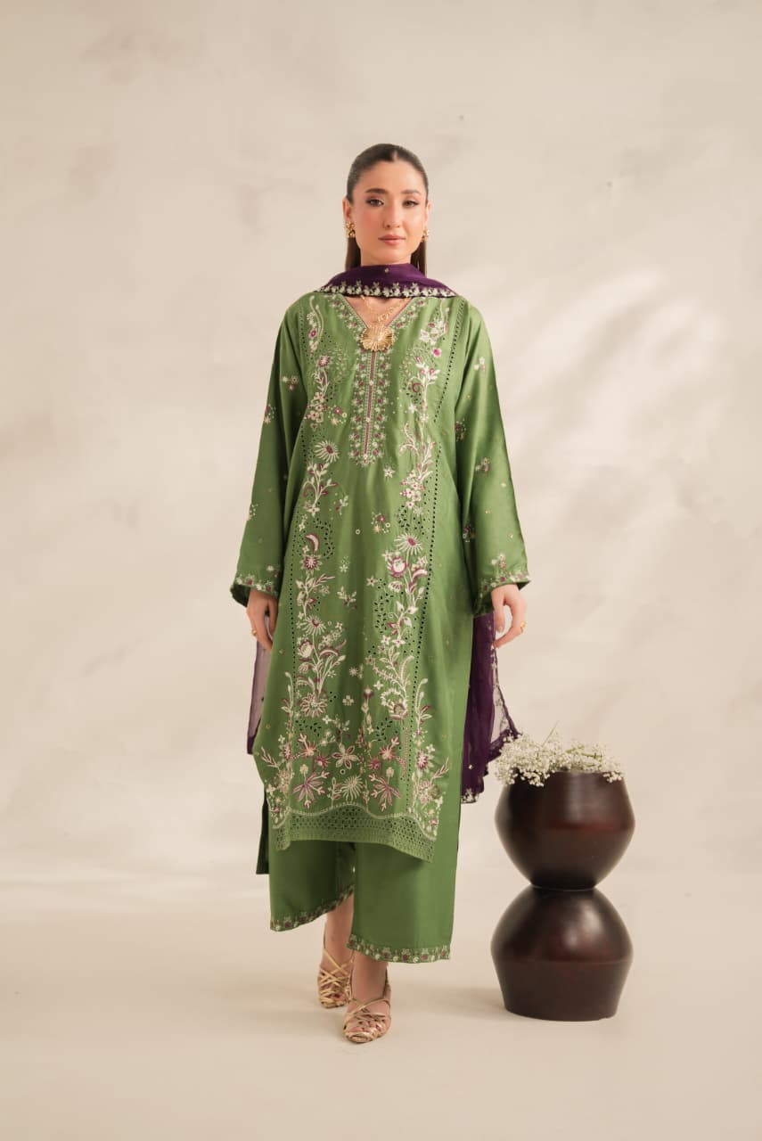 Eastern Wear Dress