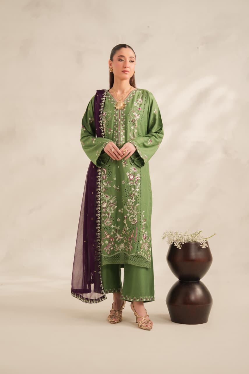 Eastern Wear Dress